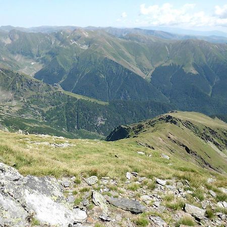 Cabana Dara Villa Cumpăna Eksteriør bilde