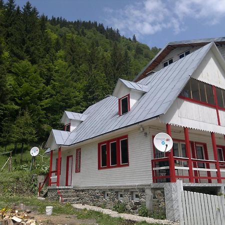 Cabana Dara Villa Cumpăna Rom bilde