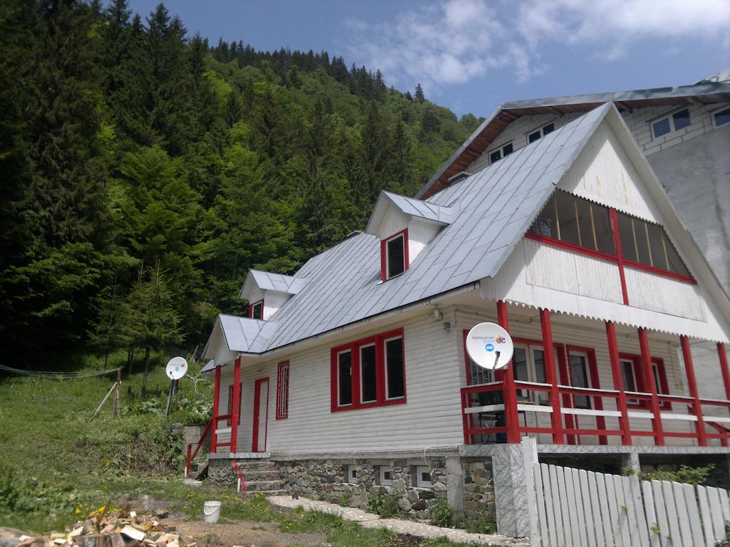 Cabana Dara Villa Cumpăna Rom bilde