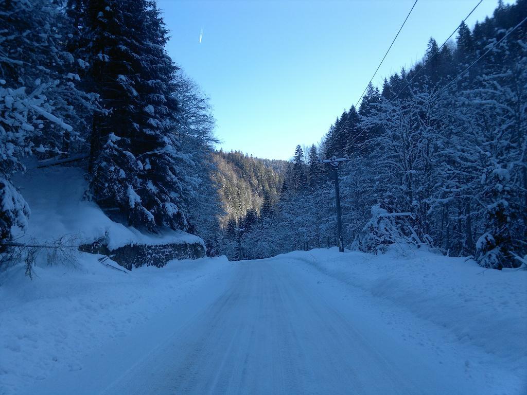 Cabana Dara Villa Cumpăna Eksteriør bilde