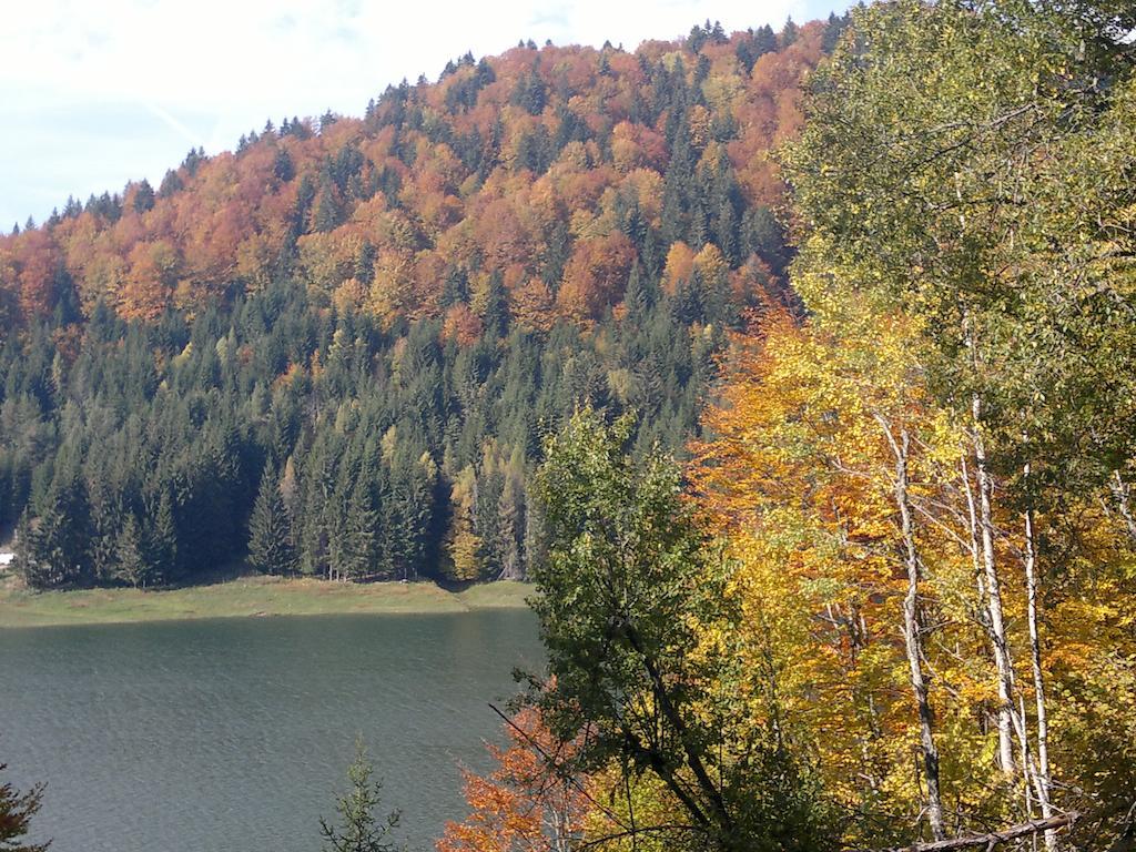 Cabana Dara Villa Cumpăna Eksteriør bilde